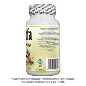 ALCACHOFA - Image 3